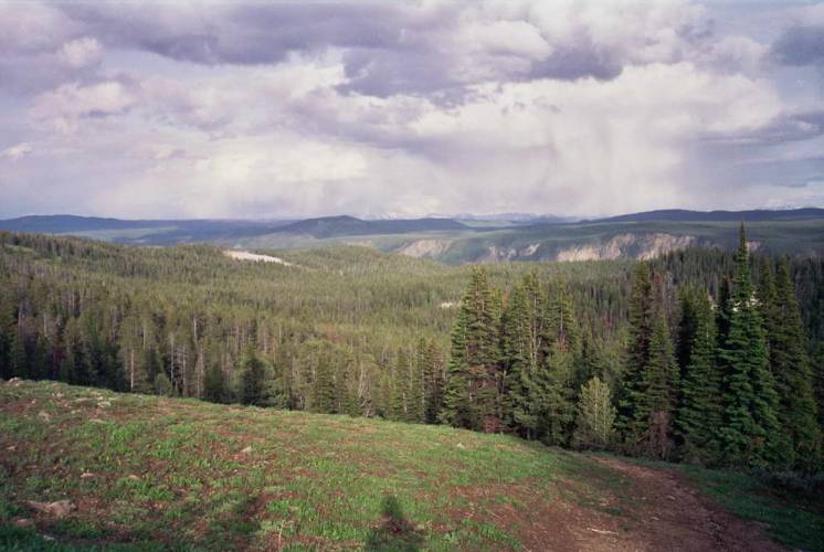 USA_1992-05-28 09-00-00_R07F15